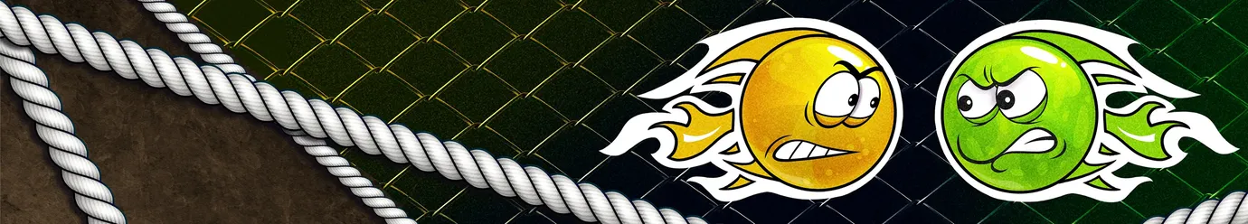 Міжнародна ліга ММА